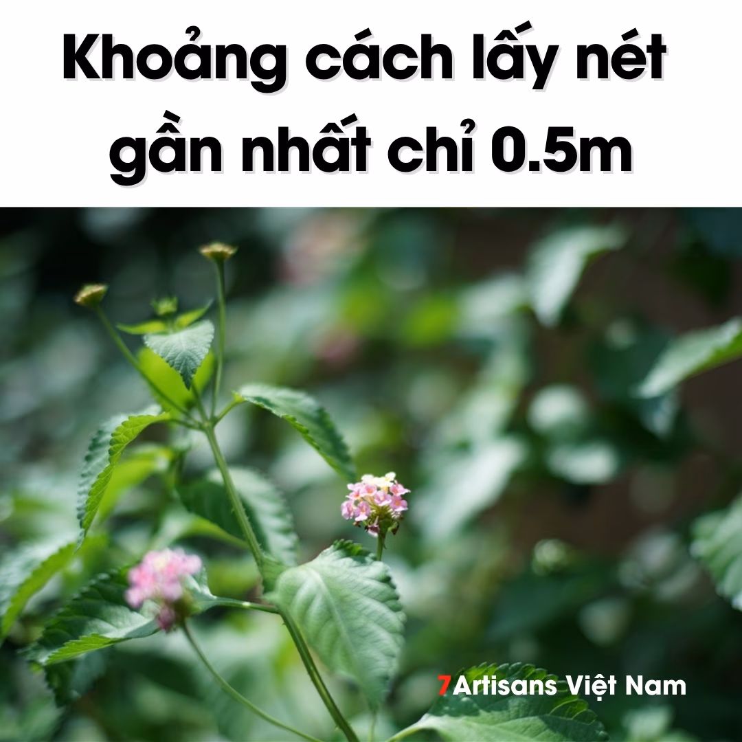 Kamlan 55mm F1.4 Full-Frame – Lens chân dung xóa phông mù mịt