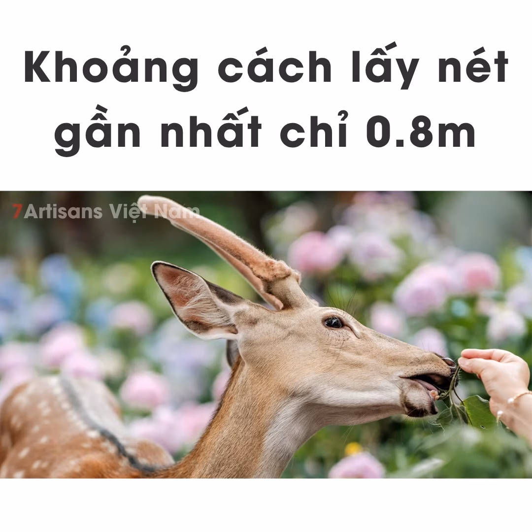 Viltrox 85mm F1.4 Pro Lens chân dung xóa phông có Auto Focus for Full-Frame