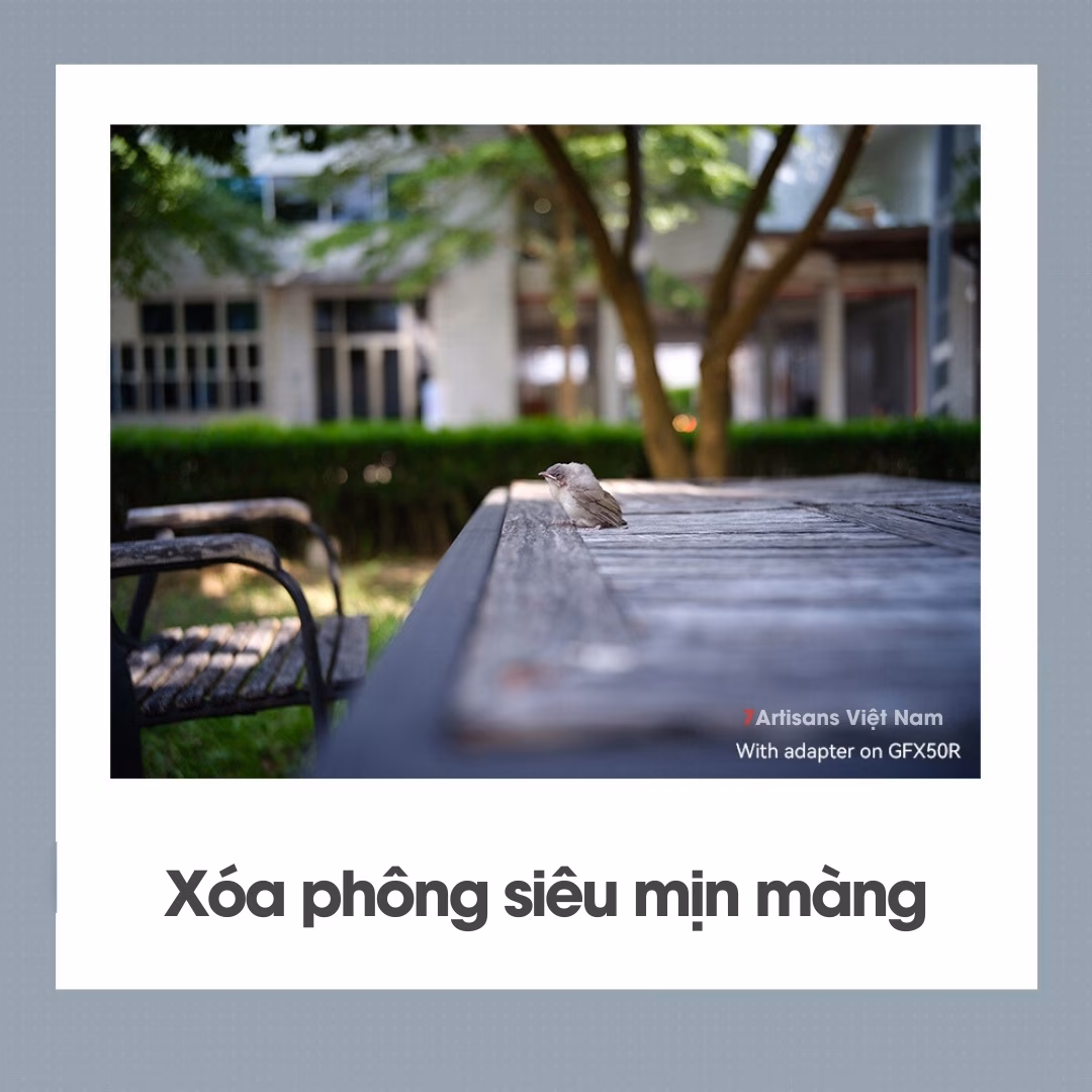 TTArtisan 35mm F2.0 APO ASPH dành cho ngàm Leica M – Tặng kèm Hood kim loại