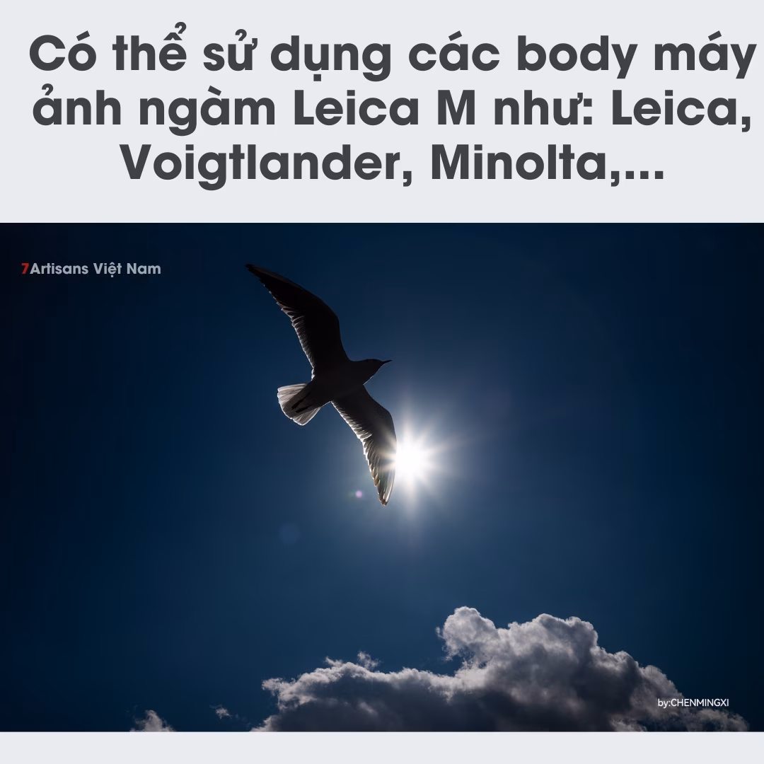 TTArtisan 35mm F2.0 APO ASPH dành cho ngàm Leica M – Tặng kèm Hood kim loại