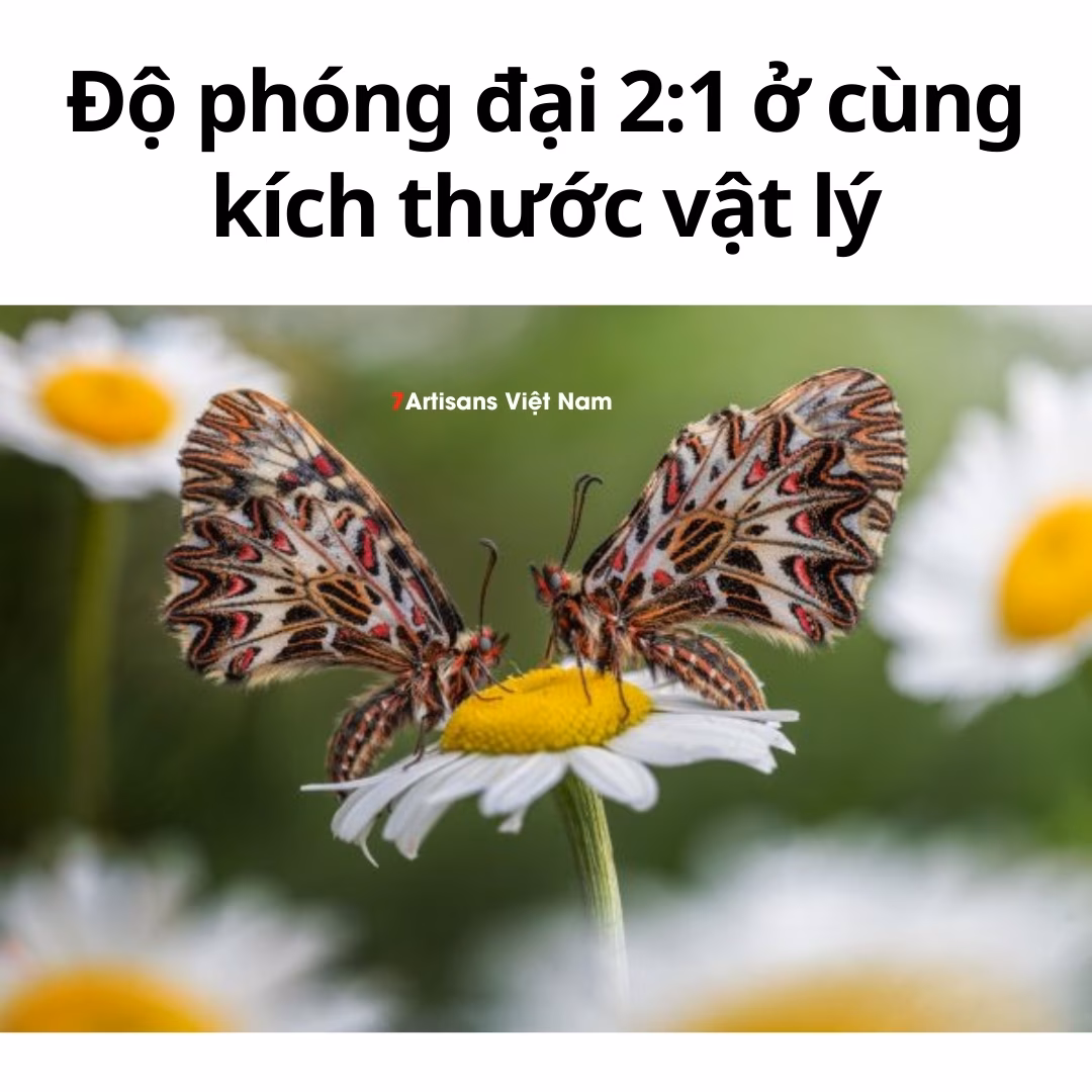 Laowa 100mm F2.8 2X Ultra Macro APO