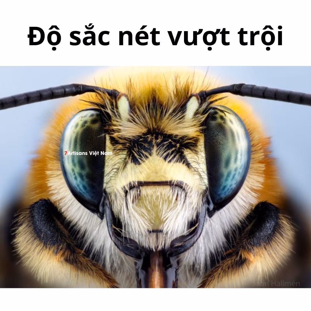 Laowa 100mm F2.8 2X Ultra Macro APO