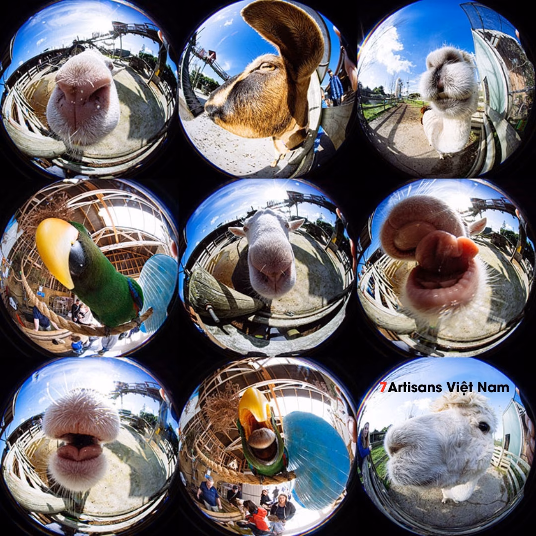 Laowa 4mm F2.8 Circular Fisheye