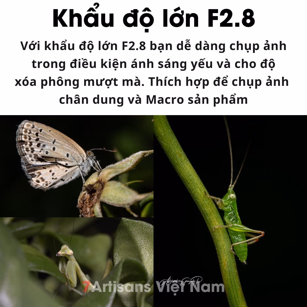 AstrHori 120mm F2.8 Macro 2x dành cho Full-frame