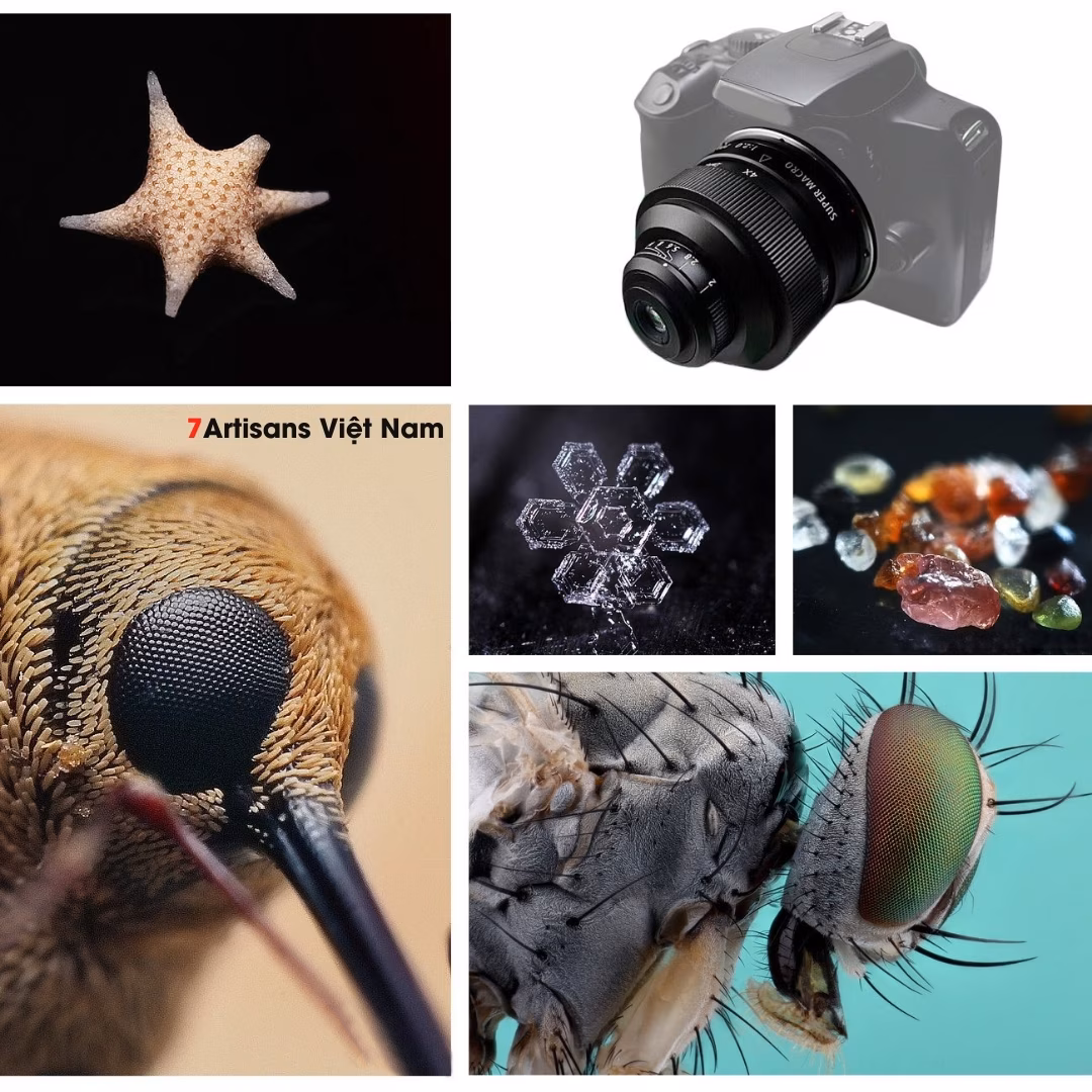 Mitakon Zhongyi 20mm F2.0 4.5x Super Macro 4:1