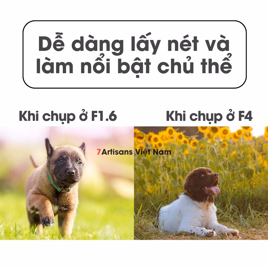 Kaxinda Meike 35mm F1.6 Mark II – Lens đa dụng