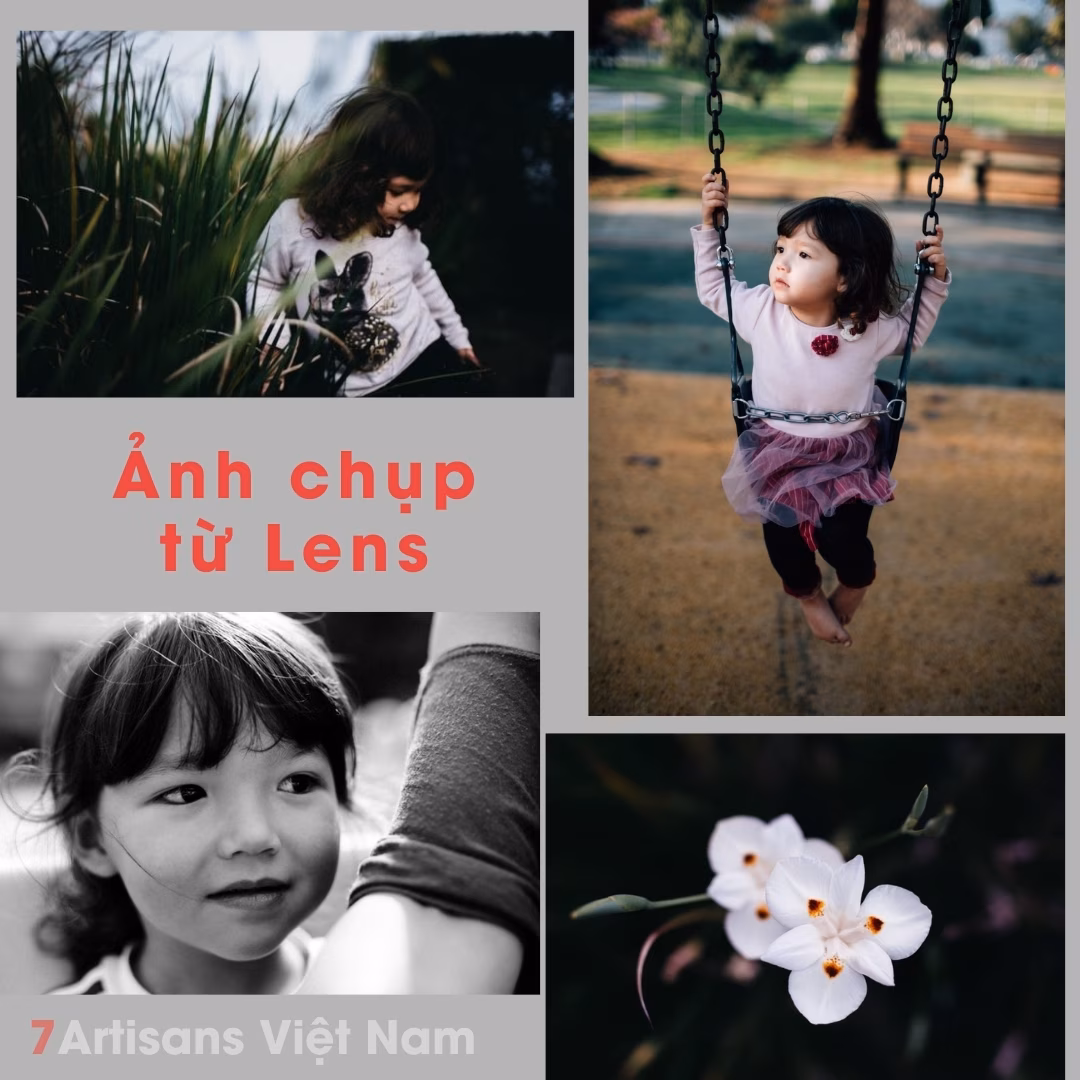 Zhongyi Mitakon Speed Master 35mm F0.95 Mark II