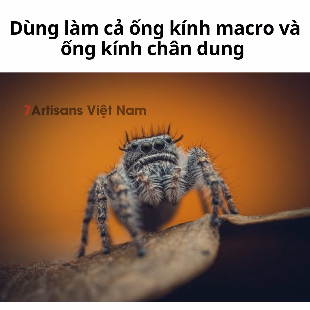 Laowa 85mm F5.6 2X Ultra Macro APO dành cho FullFrame