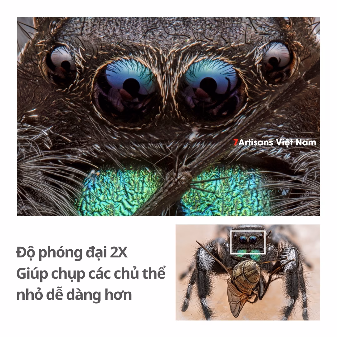 TTArtisan 100mm F2.8 Macro 2X kèm Tilt Shift