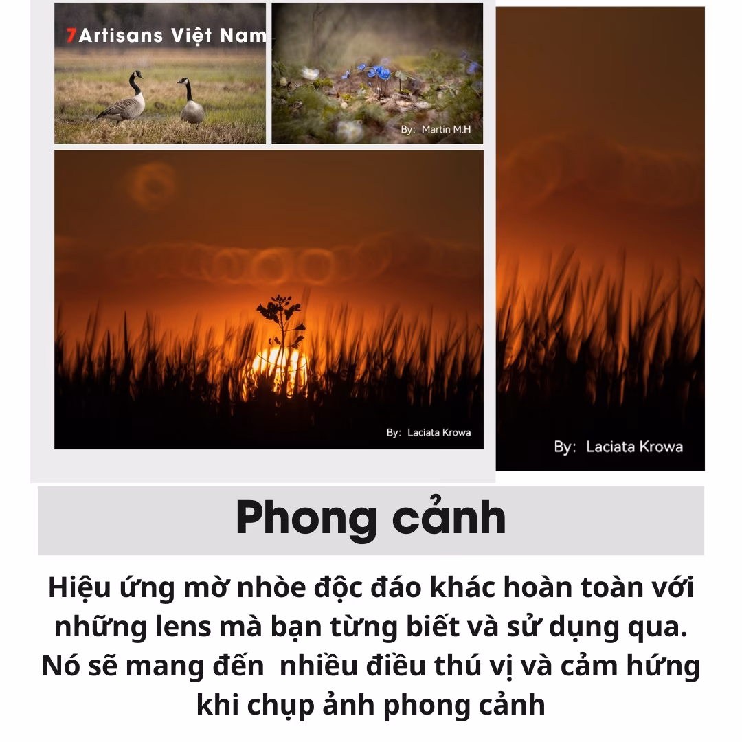 TTArtisan 250mm F5.6 Reflex Doughnut Bokeh Full-Frame – Lens siêu chân dung xóa phông giá rẻ – Bokeh lung linh