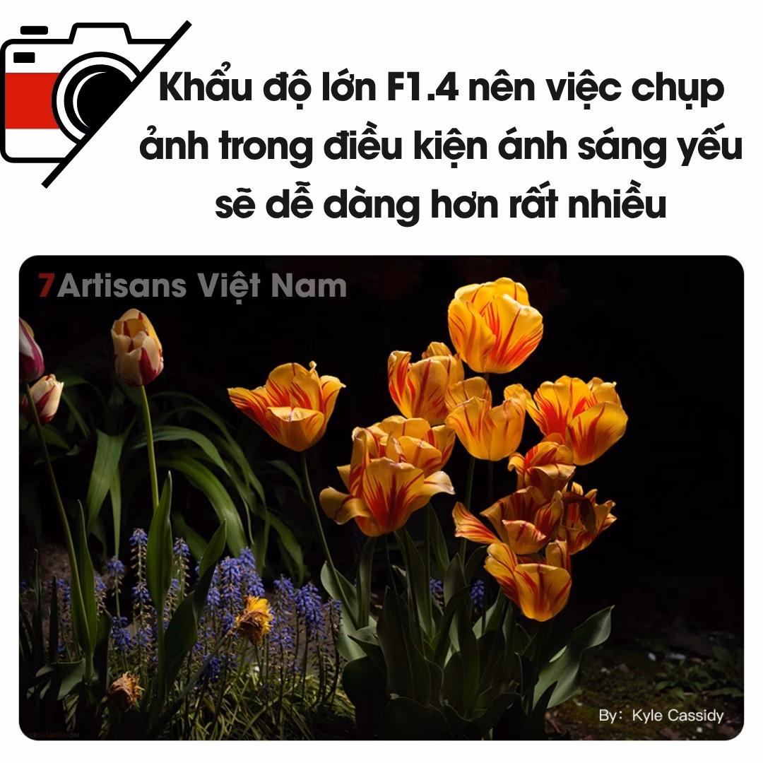 TTArtisan 50mm F1.4 ASPH lens Full-Frame