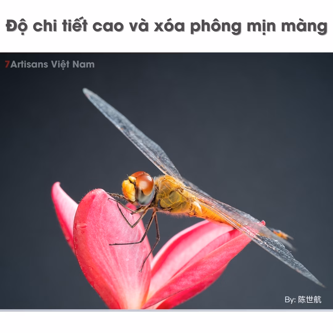 TTArtisan 40mm F2.8 Macro 1:1 – Chân dung