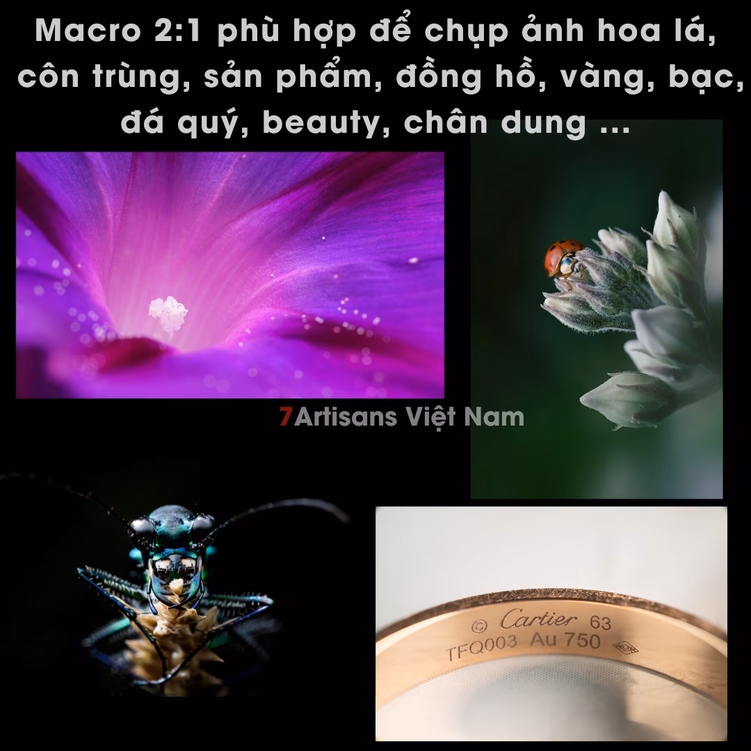 7Artisans 60mm F2.8 2X Ultra Macro 2:1