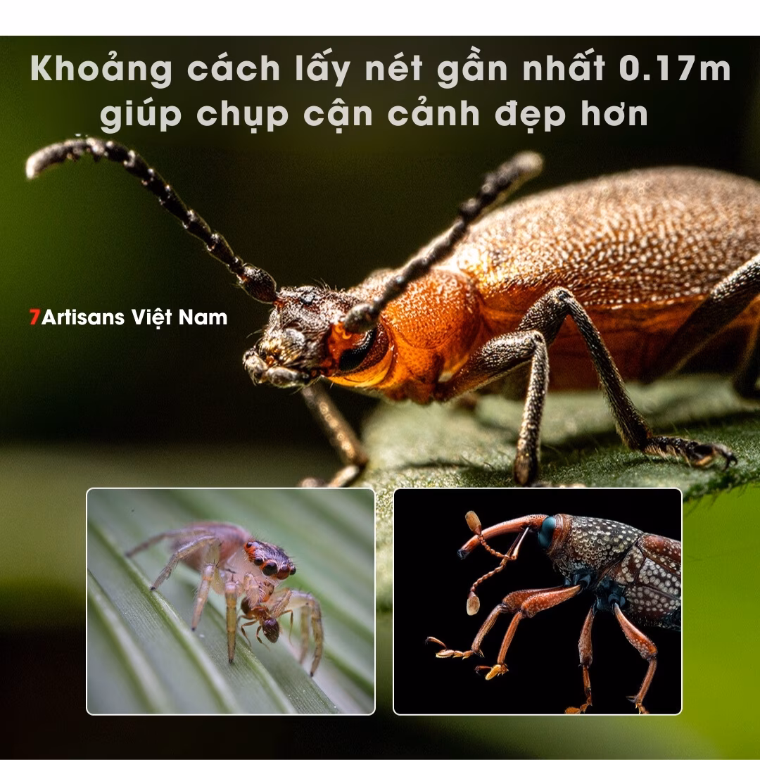 7Artisans 60mm F2.8 2X Ultra Macro 2:1