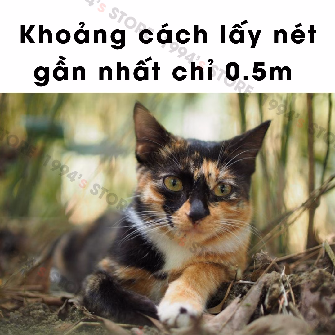 Mitakon Speedmaster 25mm F0.95 lens góc rộng cho ngàm M43