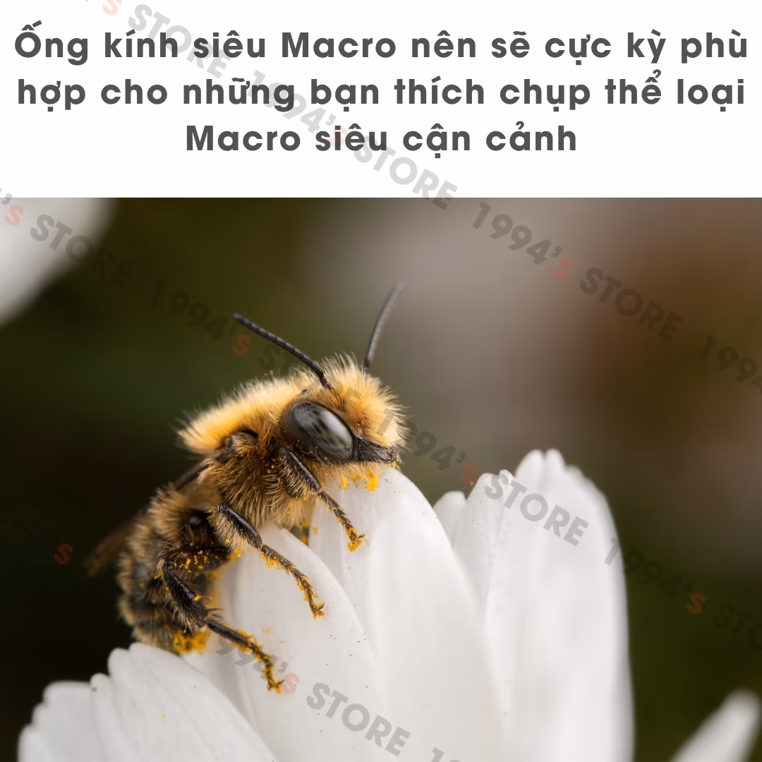 Laowa 90mm F2.8 2X Ultra Macro APO dành cho FullFrame