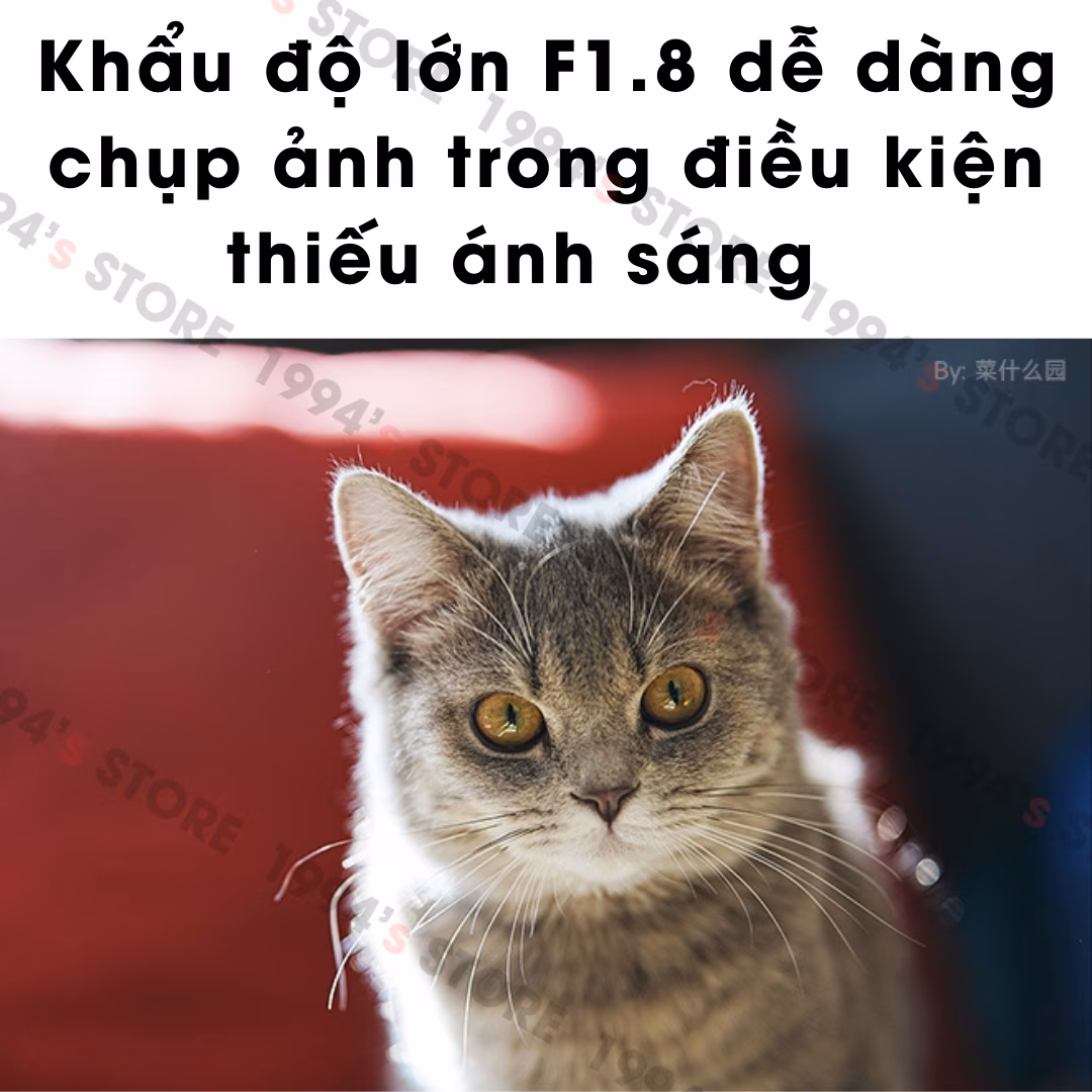 Brightin Star 85mm F1.8 AF – Lens chân dung xóa phông có Auto Focus for Full-Frame
