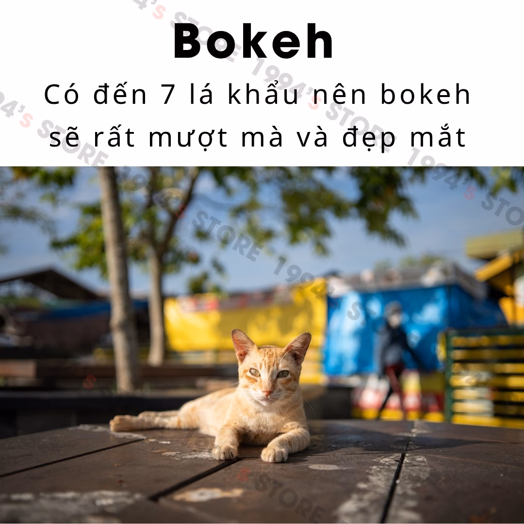 Yongnuo 35mm F2 AF Full-frame - Lens đa dụng dành cho Canon EF/EFs