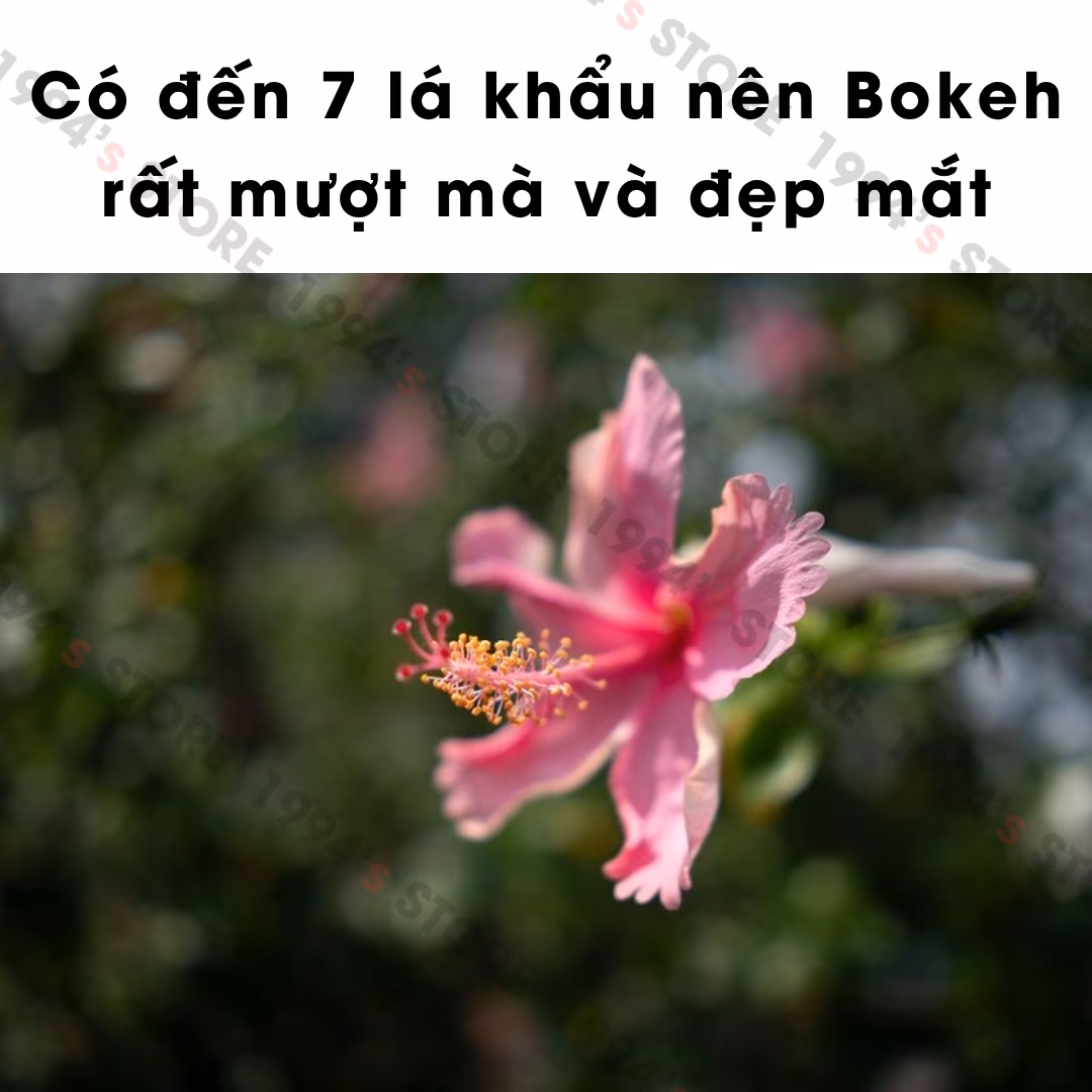 Yongnuo 17mm F1.7 Auto Focus -  Lens góc rộng đa dụng dành cho ngàm M4/3