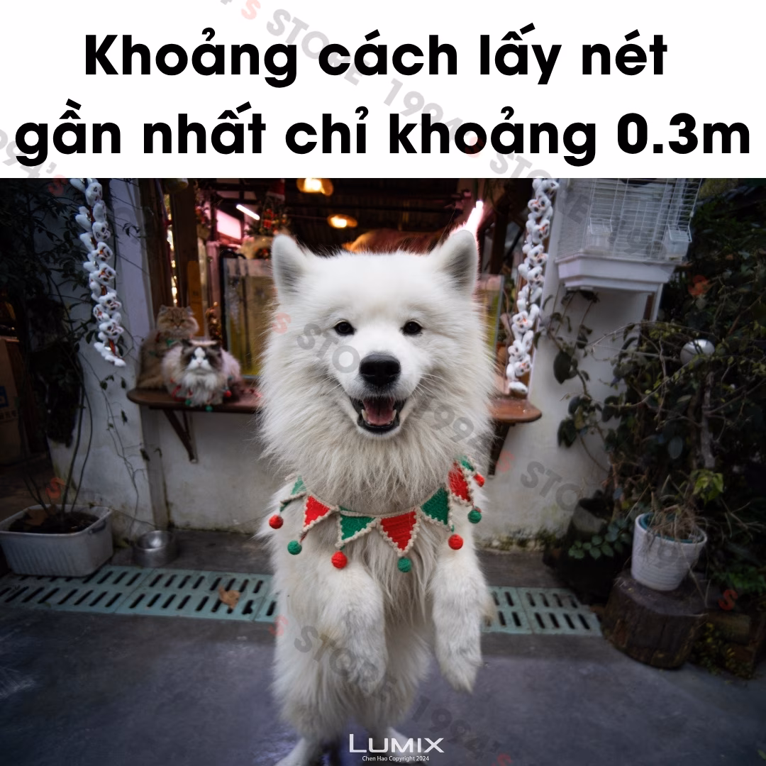7Artisans 18mm F5.6 ASPH Pancake siêu rộng