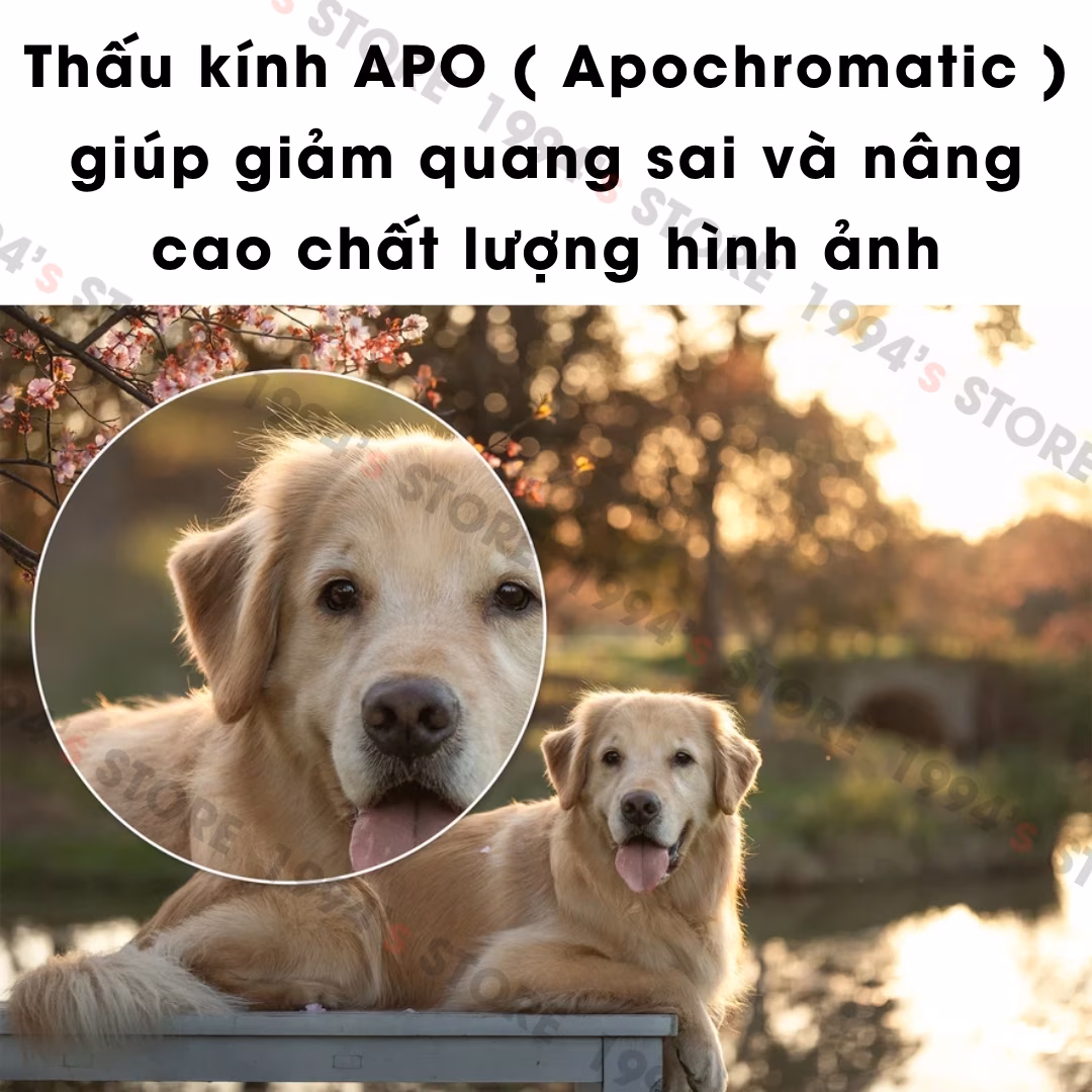 Viltrox 55 F1.8 EVO bảo hành chính hãng