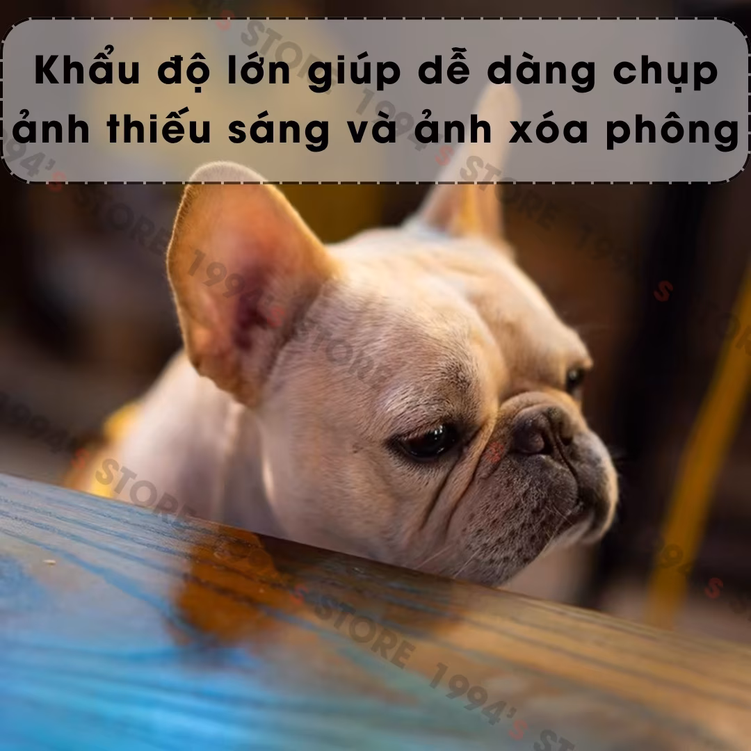 Mua lens 7Artisans 50mm F1.8 chính hãng ở đâu