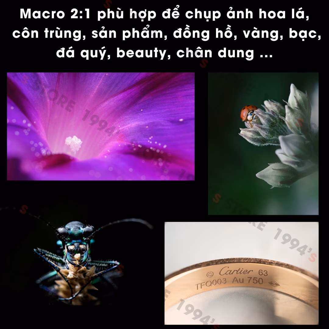 7Artisans 60mm F2.8 2X Ultra Macro 2:1