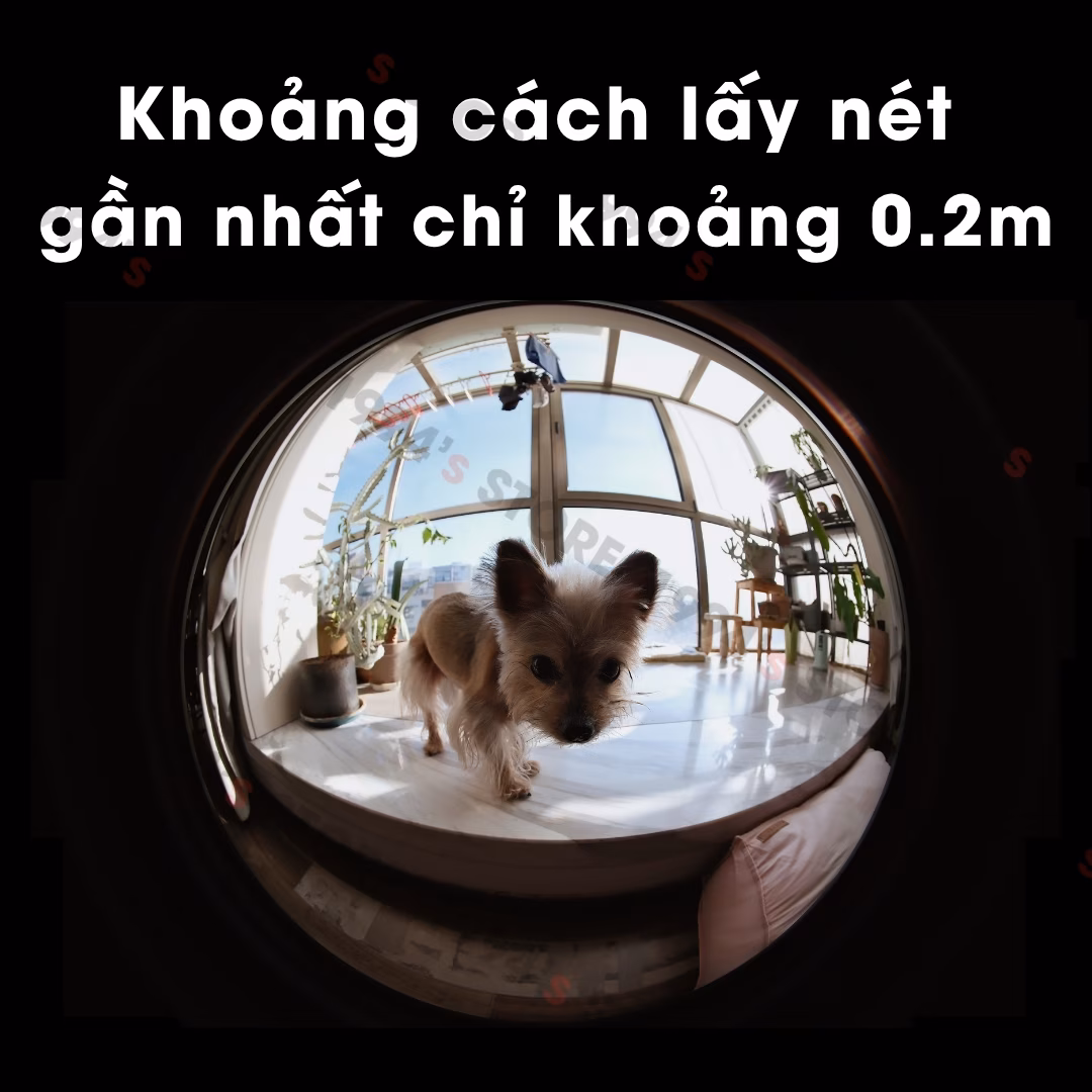 Lens Fisheye khẩu độ lớn F2 chụp thiếu sáng