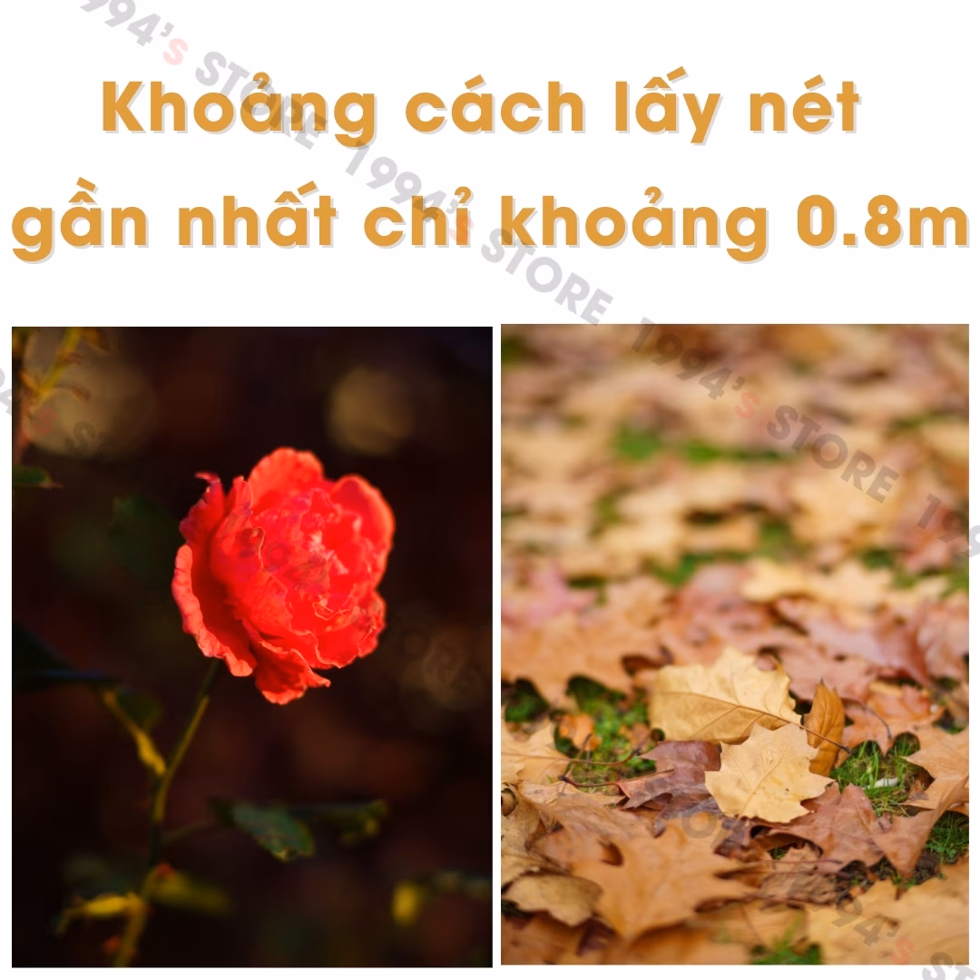 Ống kính chụp chân dung