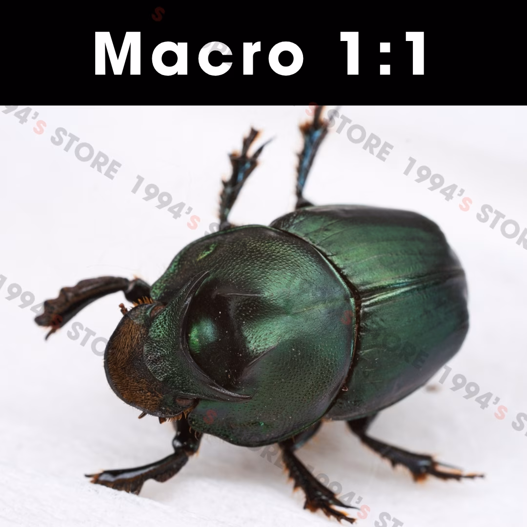 Lens Macro 60mm F2.8 Mark II