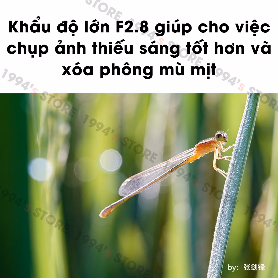 TTArtisan 40mm F2.8 Macro 1:1 – Chân dung