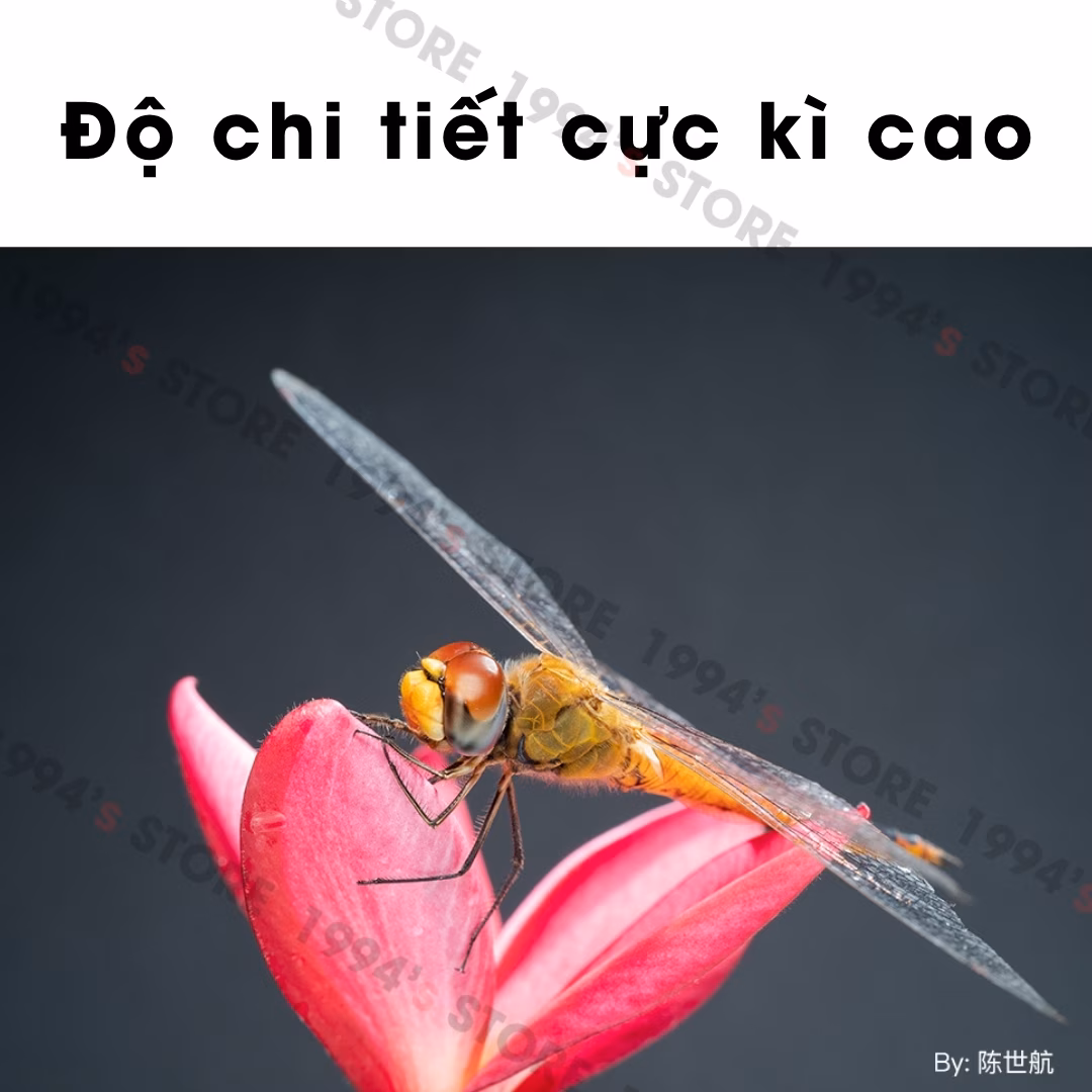 TTArtisan 40mm F2.8 Macro 1:1 – Chân dung