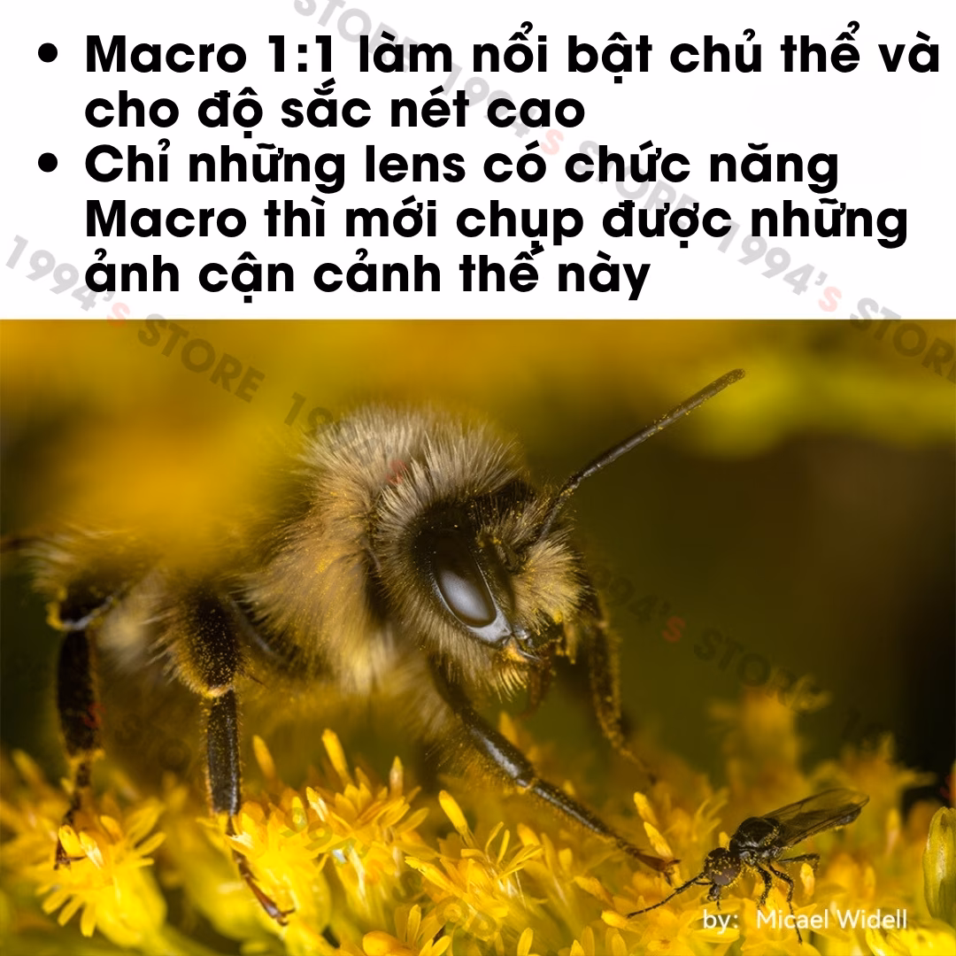 TTArtisan 40mm F2.8 Macro 1:1 – Chân dung