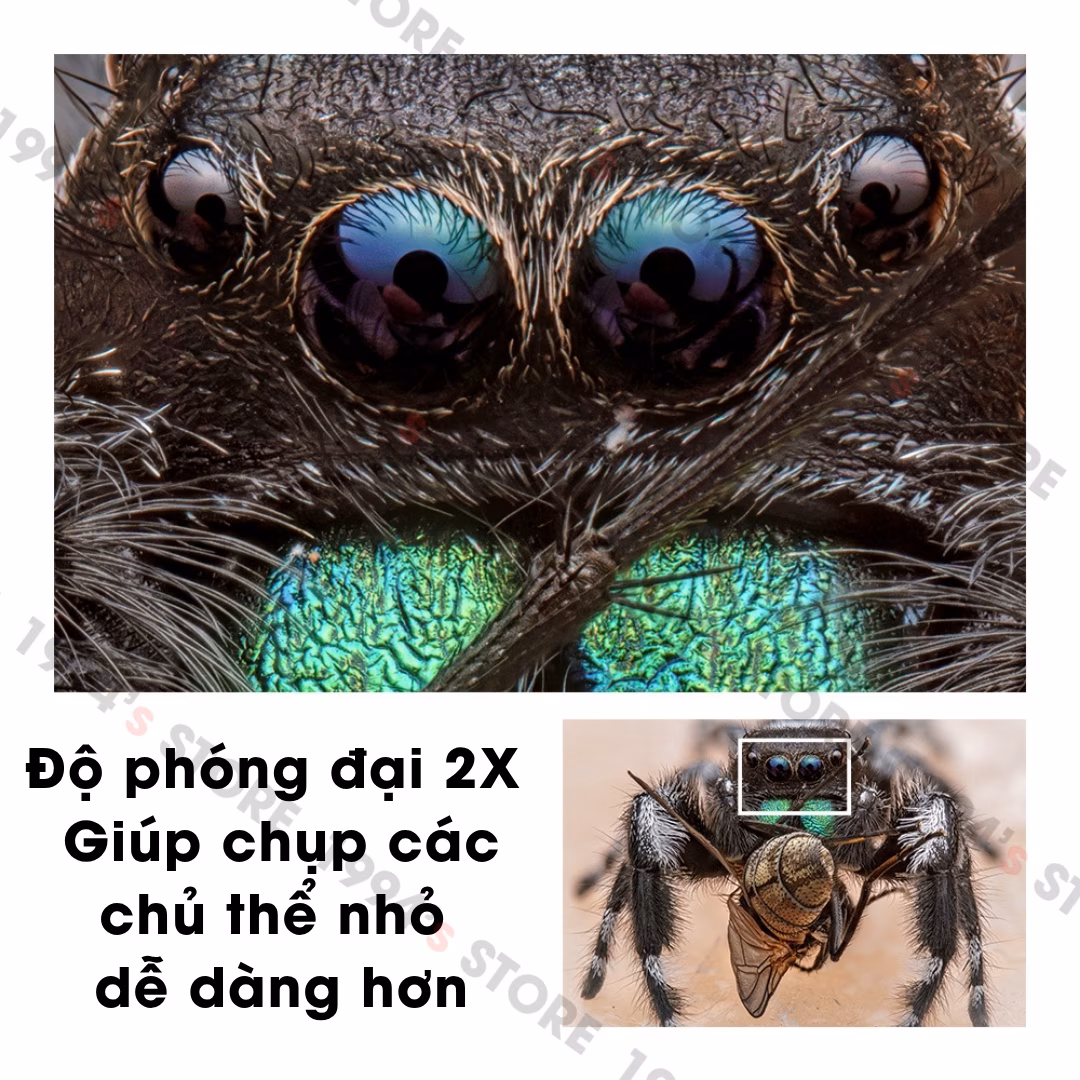 Đánh giá lens TTArtisan 100mm F2.8 Macro 2X