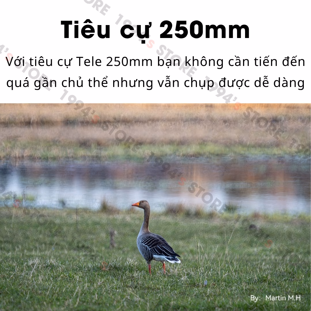 Ống kính TTArtisan 250mm F5.6 Reflex Doughnut Bokeh (Bokeh Bánh Donut) M42 Full-Frame và Crop APS-C