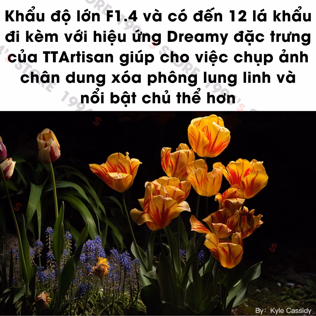 Ống kính TTArtisan 50mm F1.4 ASPH lens Full-Frame