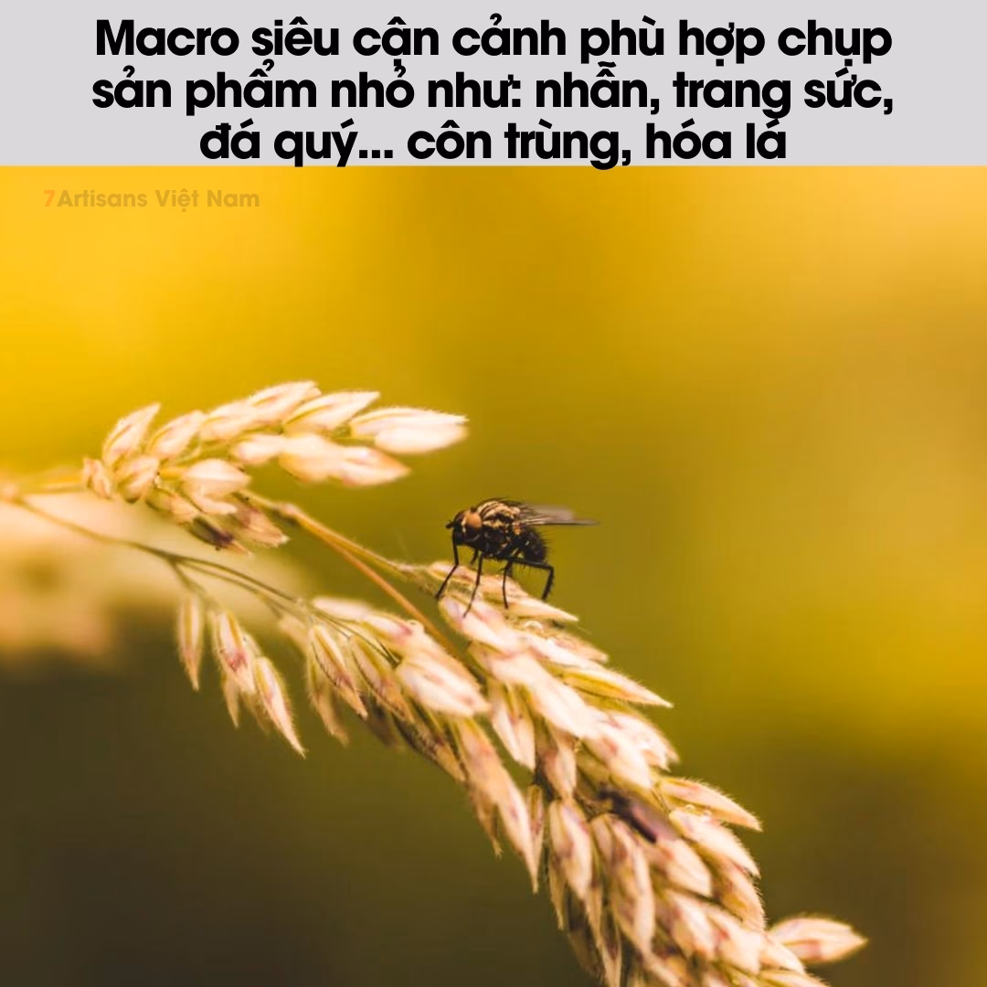 Combo 2 ống Tube Macro AF Meike MK-S-AF3A- Ngàm chụp Macro