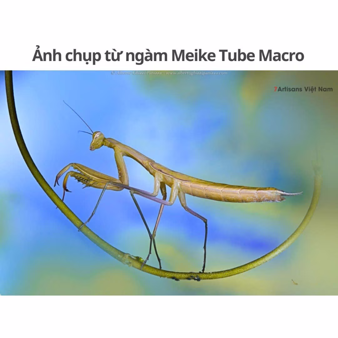 Giá bộ tube macro Meike MK-F-AF3