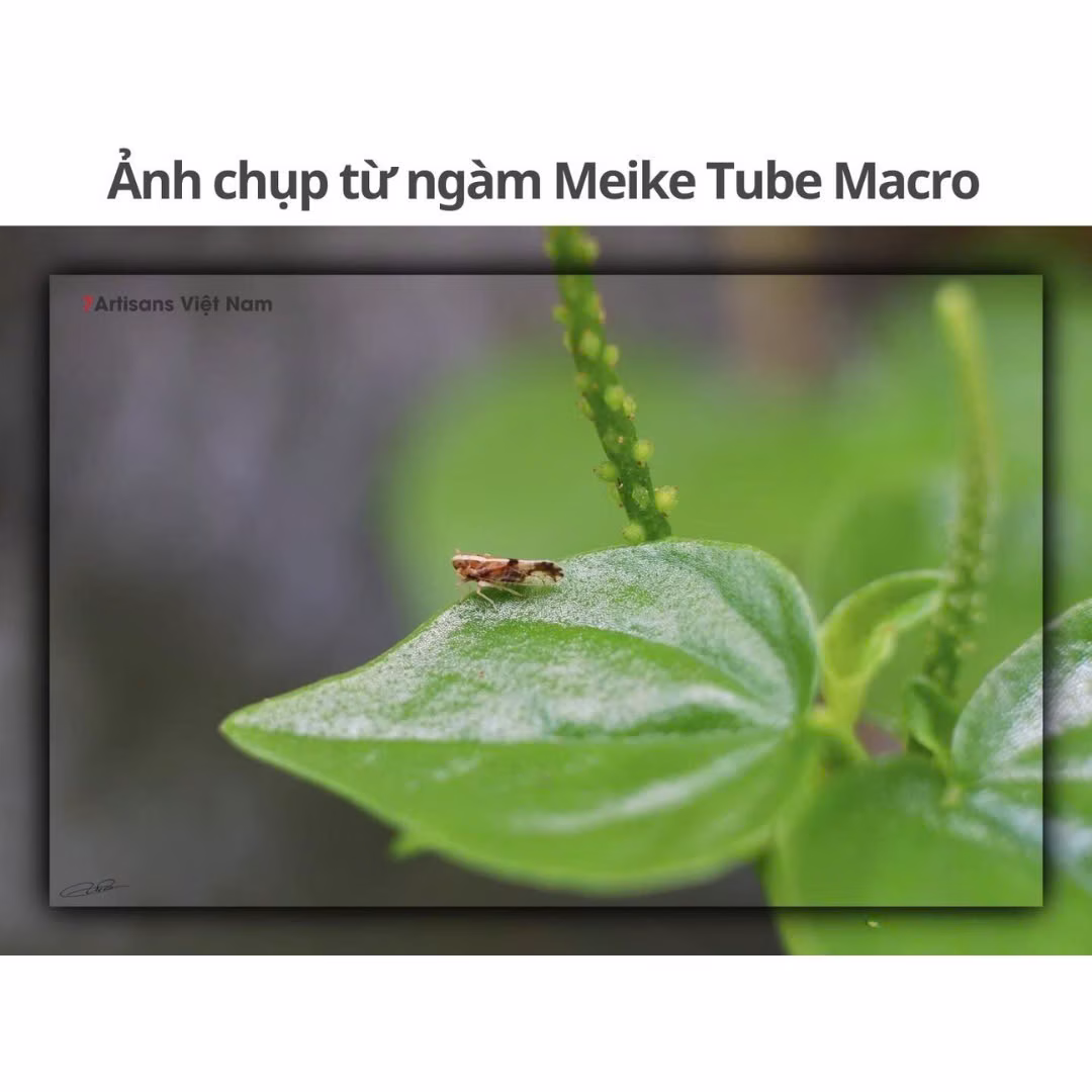 Ngàm chụp cận cảnh có AF cho Canon