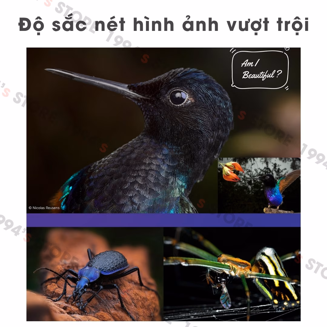 Đánh giá chi tiết Laowa 90mm F2.8 2X Ultra Macro APO