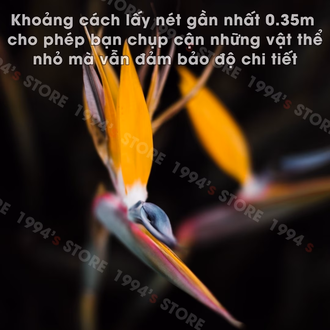 Ống kính Zhongyi Mitakon Speed Master 35mm F0.95 Mark II