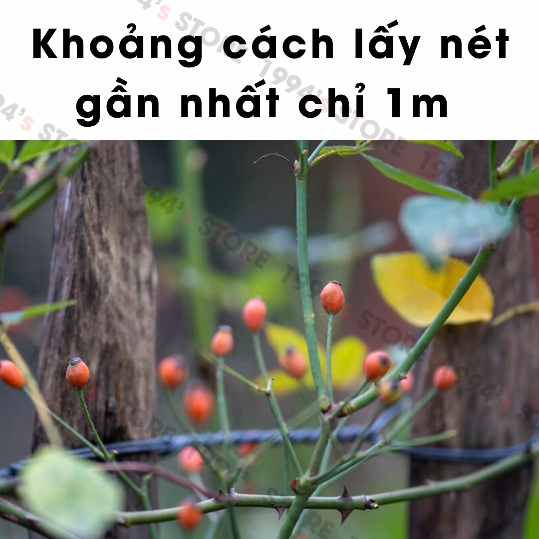 Đánh giá Mitakon Creator 135mm f2.5