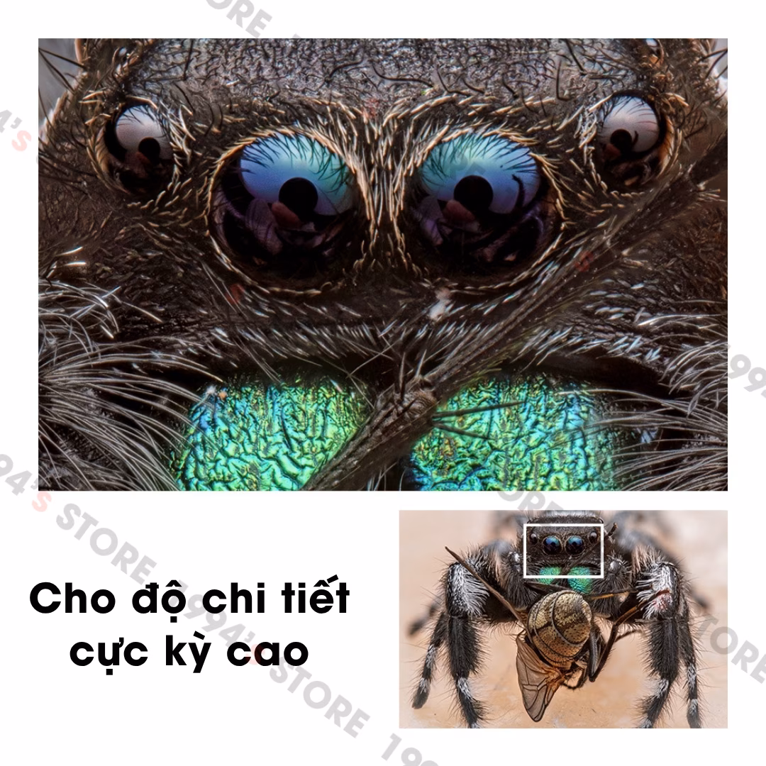 Ống kính TTArtisan 100mm F2.8 Macro 2X