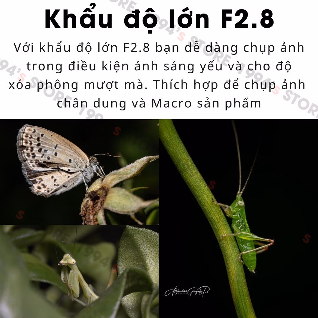 Ống kính AstrHori 120mm F2.8 2X Ultra Macro for Full-Frame