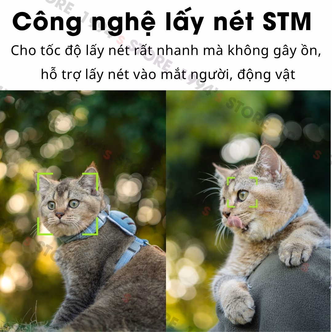 Ống kính Vistilen 56mm F1.7 Air AF for Canon R