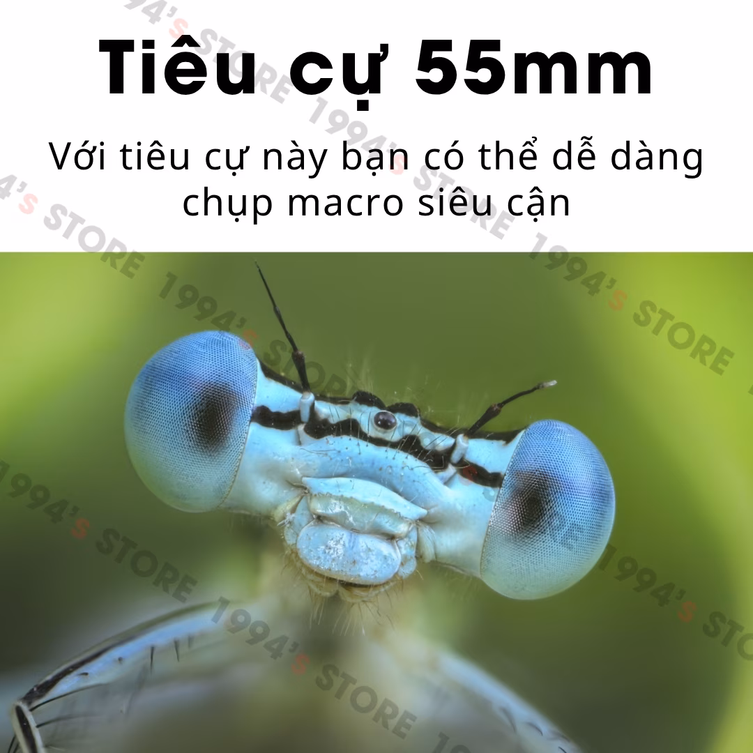 Ống kính Zhong Yi Mitakon 55mm F2.8 Ultra Macro 1X-5X