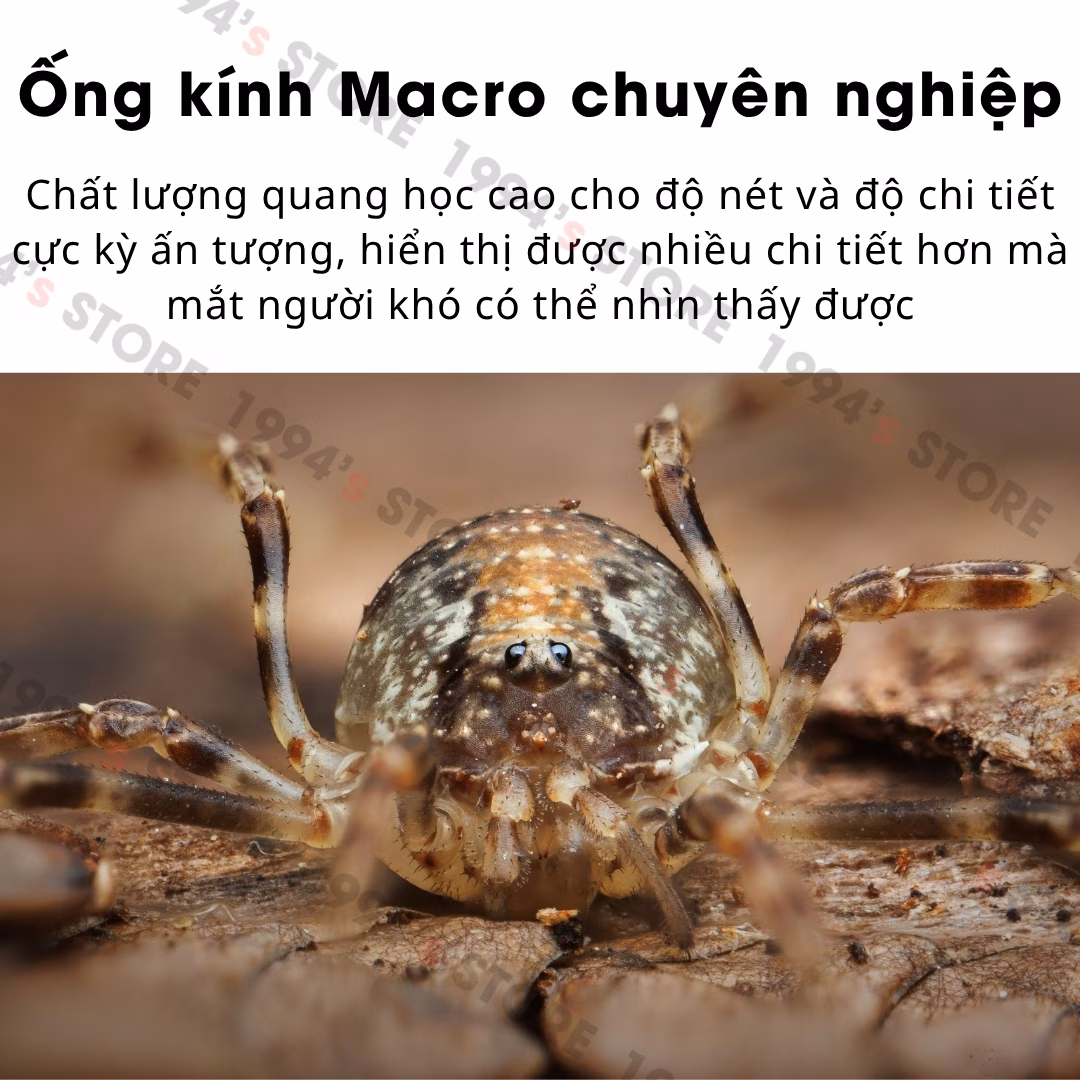 Ống kính Zhong Yi Mitakon 55mm F2.8 Ultra Macro 1X-5X