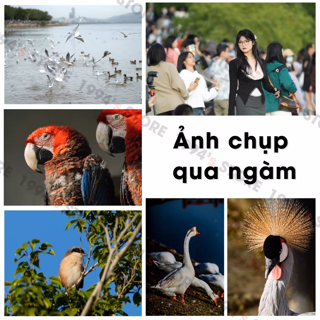 Ngàm chuyển Viltrox giúp nhân đôi tiêu cự