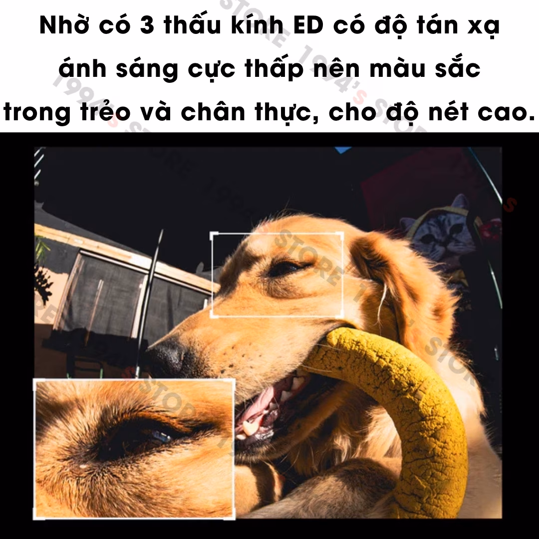 Ống kính Brightin Star 7.5mm F2.8 Mark IV Fisheye cho X/E/EOSM/R/M43/Z