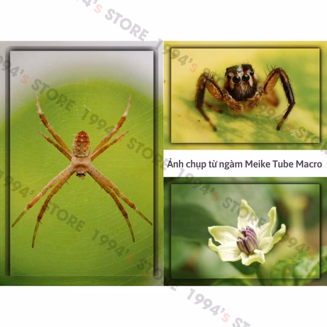 Combo 2 Tube Macro Meike MK-S-AF3A